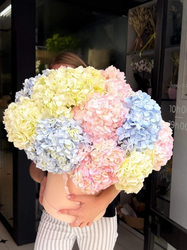 Pastel Cloud