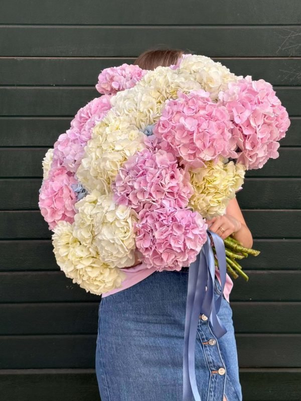 Cotton Candy